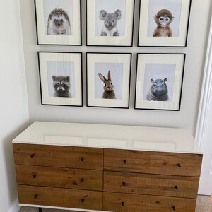 Todd added a photo of their purchase