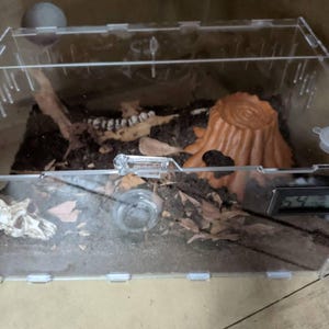 Jessica ha aggiunto una foto del proprio acquisto