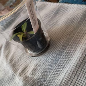 Pat added a photo of their purchase
