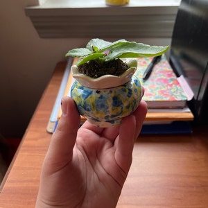 Mel added a photo of their purchase