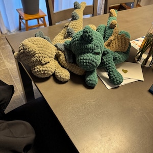 Alicia added a photo of their purchase