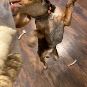 Brittany added a photo of their purchase