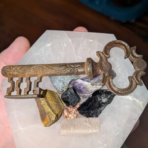 Maddi added a photo of their purchase