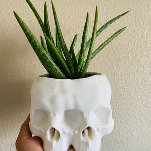 Kay added a photo of their purchase
