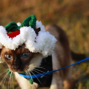 Missy added a photo of their purchase