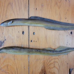 Robert adicionaram uma foto da sua compra