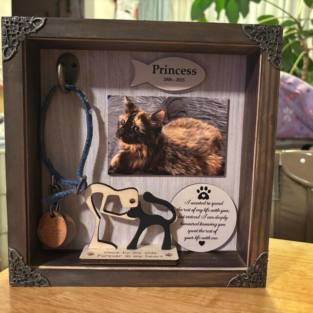 Pet Memorial Shadow Box - Wooden Picture Frame With Paw Print Kit & Keepsake Jar For Dogs, Cats (White Cat Design)