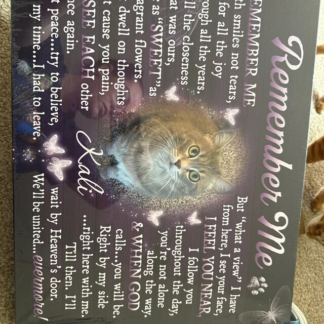 Personalized Cat Memorial Canvas Art: Pet Loss Sympathy Gift - Etsy