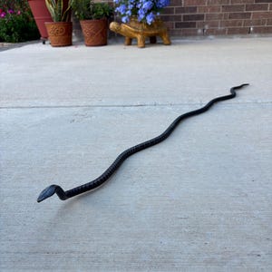 Dyann added a photo of their purchase