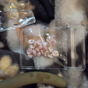 Melissa added a photo of their purchase
