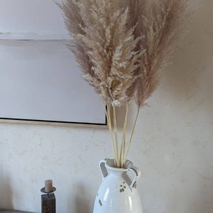 Sophie added a photo of their purchase