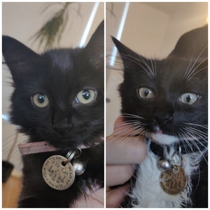 Nyrie added a photo of their purchase