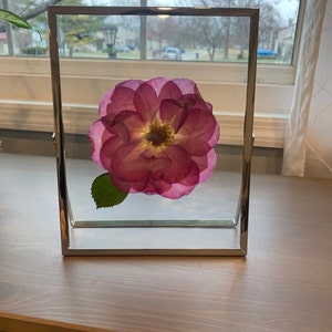 Allison added a photo of their purchase