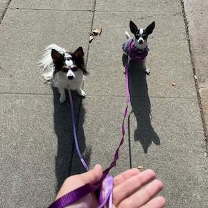 Gabrielli added a photo of their purchase