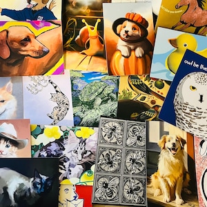 Bethany a ajouté une photo de son achat