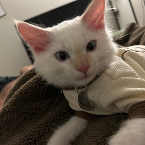 Etsy buyer added a photo of their purchase
