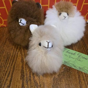 Rachel added a photo of their purchase