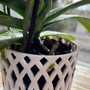 Linda added a photo of their purchase