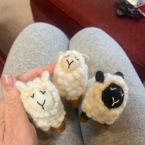 Mandy added a photo of their purchase