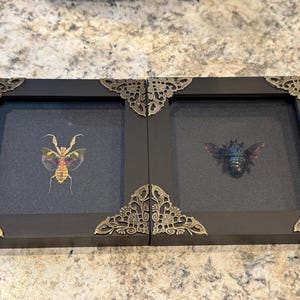 Madelyn added a photo of their purchase