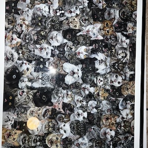 Fabiola added a photo of their purchase