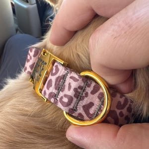 Jordan added a photo of their purchase