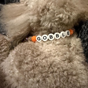 Nikki added a photo of their purchase
