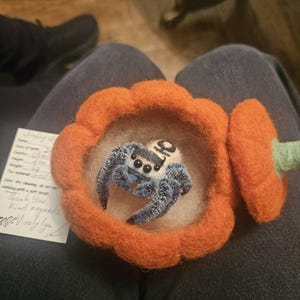 Lesley added a photo of their purchase