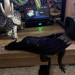 Carolann added a photo of their purchase
