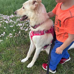 Sadie added a photo of their purchase