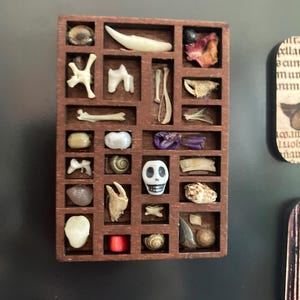 Miss added a photo of their purchase