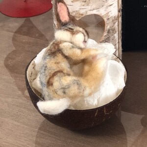 Needle Felt Sleeping Baby Bunny Kit Gift craft work beginner intermediate Wild Rabbit The Wishing Shed