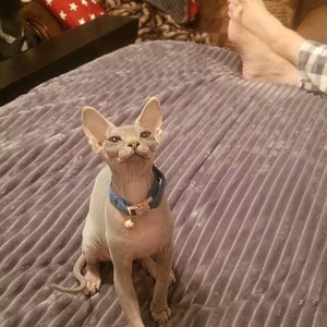 Jody added a photo of their purchase