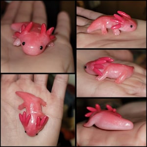 Sarah added a photo of their purchase