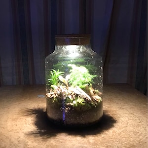 Heather added a photo of their purchase