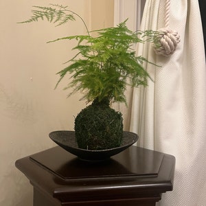 Deborah ha aggiunto una foto del proprio acquisto