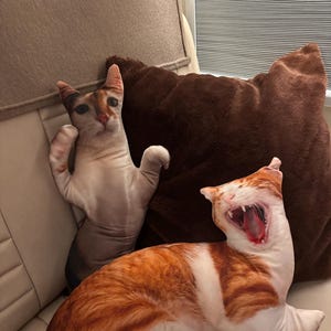 Madison hat ein Foto des gekauften Artikels hinzugefügt