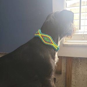 Alexandra added a photo of their purchase