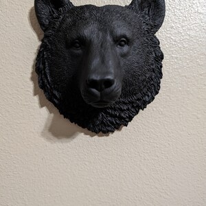 Lauren added a photo of their purchase