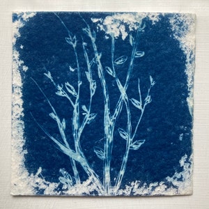 Cyanotype Kit Make Your Own Blueprints at Home - Etsy UK