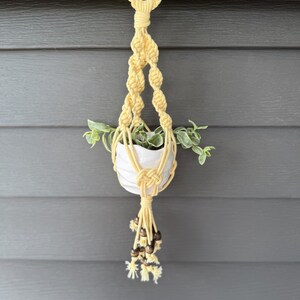 Dana added a photo of their purchase