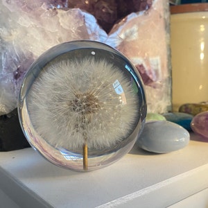 Femke added a photo of their purchase