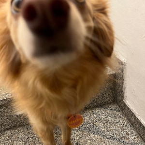 Sarah hat ein Foto des gekauften Artikels hinzugefügt