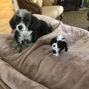 Trilegal added a photo of their purchase