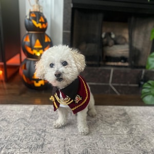 Ashley a ajouté une photo de son achat