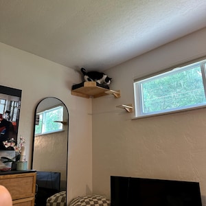 Alexis added a photo of their purchase