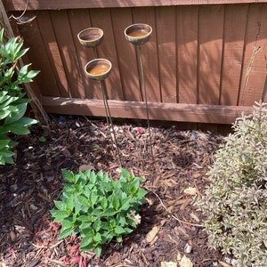 Deborah added a photo of their purchase