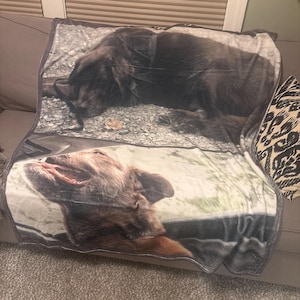 Laurel added a photo of their purchase