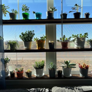 Shirell added a photo of their purchase