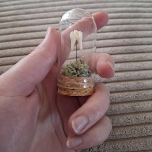 Giuliana added a photo of their purchase